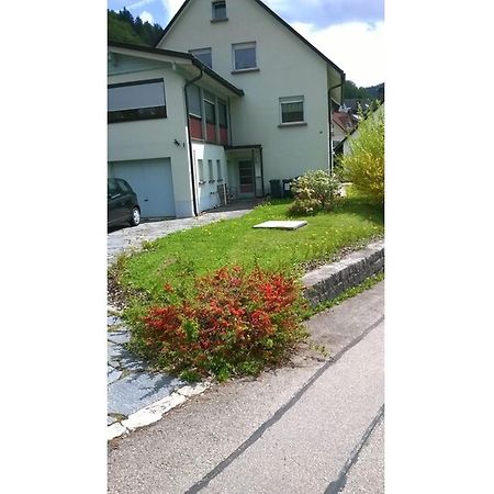 Haus Marion Apartamento Todtnau Exterior foto