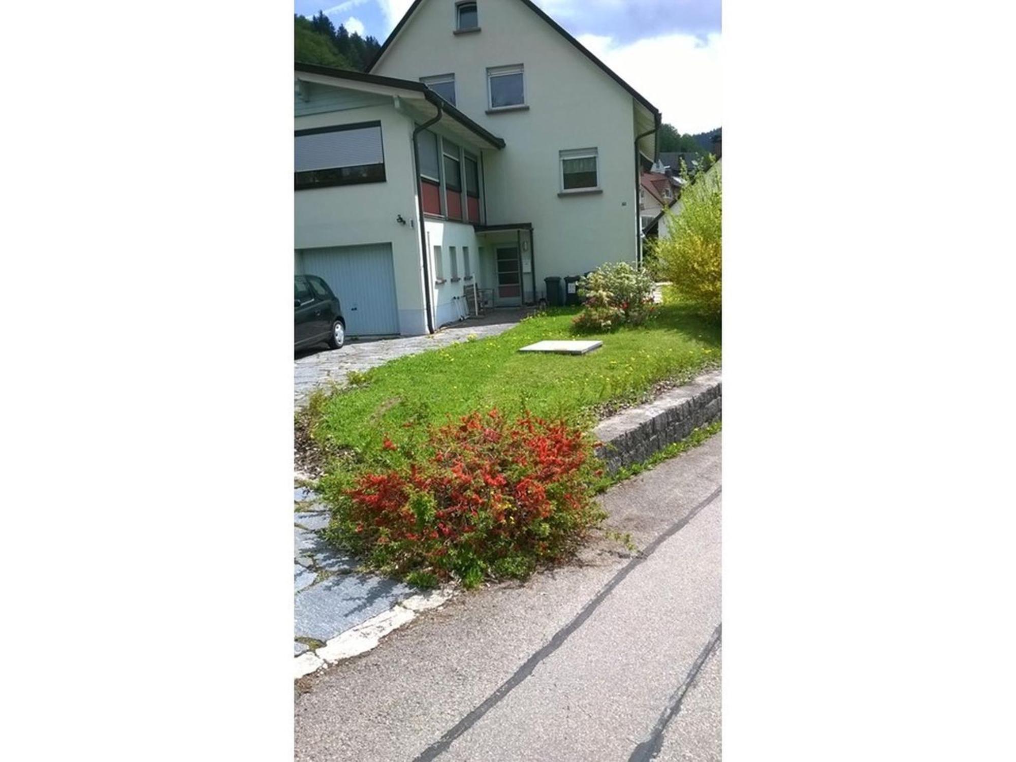 Haus Marion Apartamento Todtnau Exterior foto